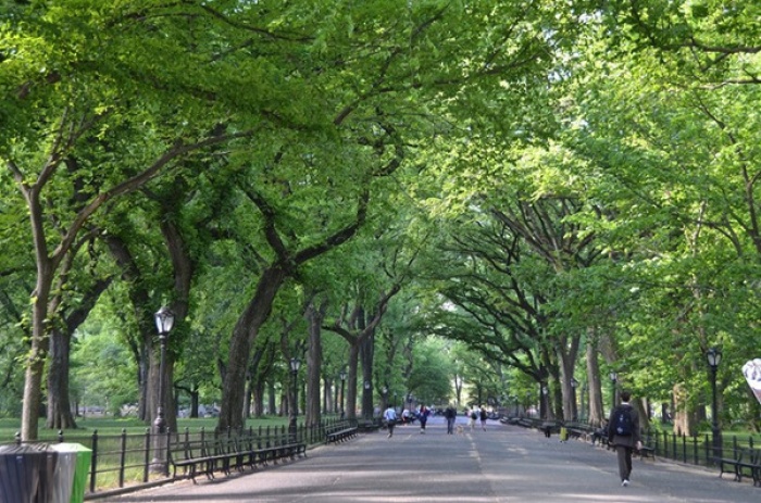 Công viên trung tâm Central Park, New York, Mỹ