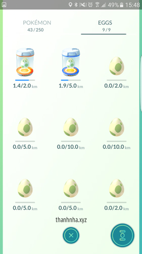 9. Trứng Pokemon