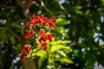 Điều đó rồi cũng qua đi