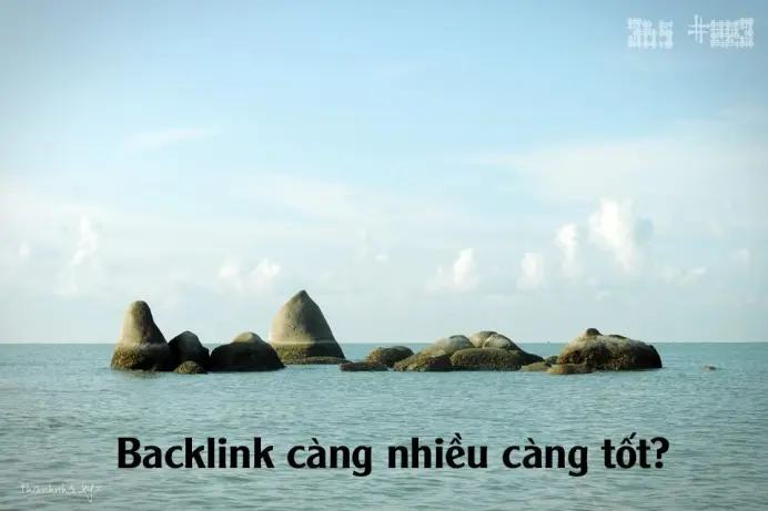 Backlink càng nhiều càng tốt? Điều Nha từng tin về sức mạnh liên kết