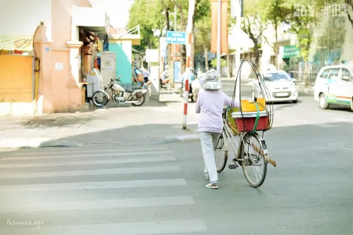 5 bài học từ thế giới động vật: Không cần bất bại, chỉ cần không ngừng tiến lên