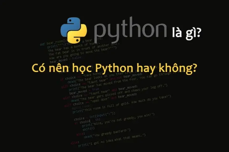 Python là gì? Có nên học ngôn ngữ Python hay không?