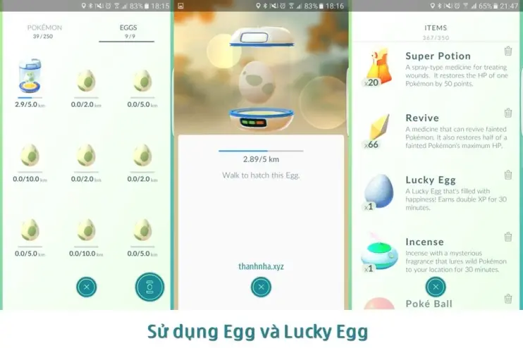 Tất tần tật về Egg và Lucky Egg trong Pokemon Go