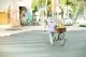 5 bài học từ thế giới động vật: Không cần bất bại, chỉ cần không ngừng tiến lên