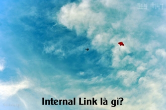 Internal Link là gì? Cách Nha biến những bài viết cũ thành một thư viện kiến thức