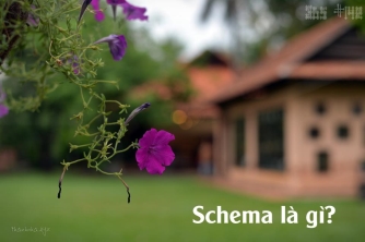 Schema là gì? Cách Nha dùng Structured Data đúng cách mà không biến website thành nồi lẩu JSON-LD