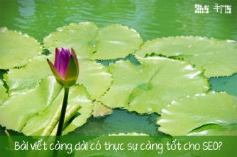 Bài viết càng dài có thực sự càng tốt cho SEO? Điều tôi từng tin về số lượng từ Bài viết càng dài có thực sự càng tốt cho SEO? Điều tôi từng tin về số lượng từ