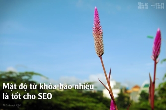 Mật độ từ khóa bao nhiêu là tốt cho SEO? Vì sao Nha không còn đếm keyword density