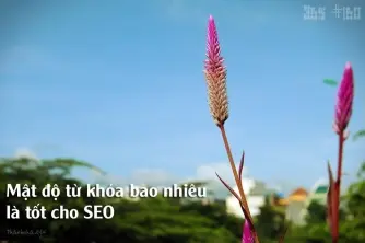 Mật độ từ khóa bao nhiêu là tốt cho SEO? Vì sao Nha không còn đếm keyword density Mật độ từ khóa bao nhiêu là tốt cho SEO? Vì sao Nha không còn đếm keyword density