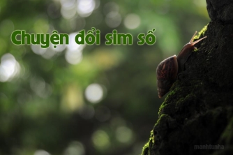 Chuyện đổi sim số - nên chọn số đẹp hay số ý nghĩa