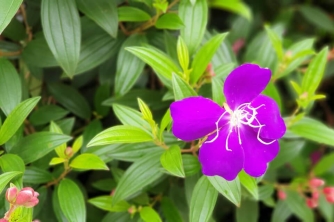 Thoải mái trong căng thẳng Thoải mái trong căng thẳng