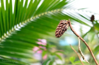 Vì sao nói: Tiểu nhân thường trách người, quân tử tự trách mình?